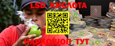 ПСИЛОЦИБИНОВЫЕ ГРИБЫ Кулебаки