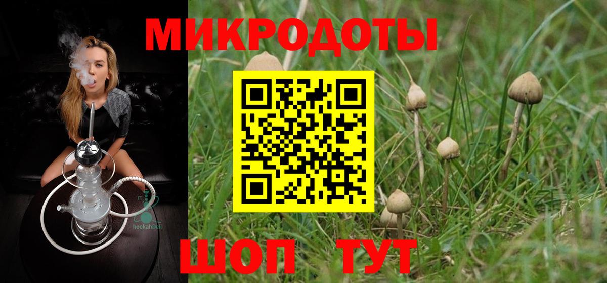 Галлюциногенные грибы Psilocybine cubensis  Вход с VPN  Железноводск  Псилоцибиновые грибы Psilocybine cubensis 