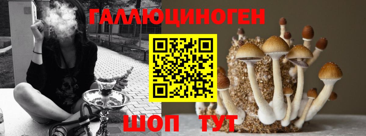 Псилоцибиновые грибы MAGIC MUSHROOMS Железноводск